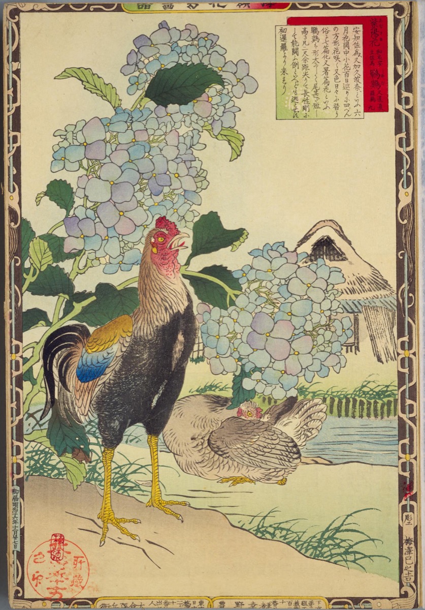 江戸屋版 媒嶺花鳥画譜第1編 27図 手作り古画修復 浮世絵風 真作