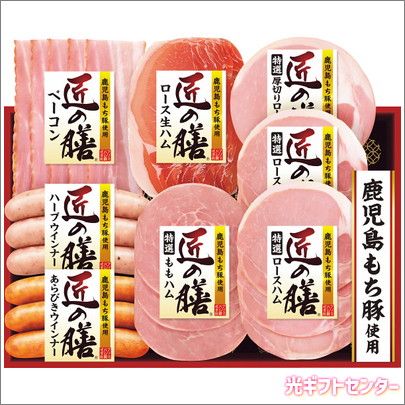 メンテ済 FERNANDES 日本製 APG-400 シングルハム 純正ケース付 2026年