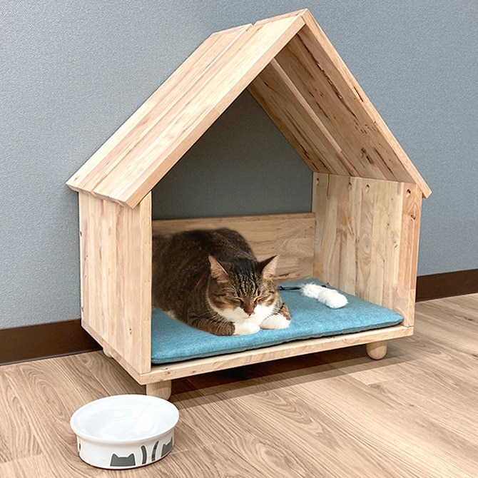 NATURAL SIGNATURE ナチュラルシグネチャー Cut-hus キャトハス ペット