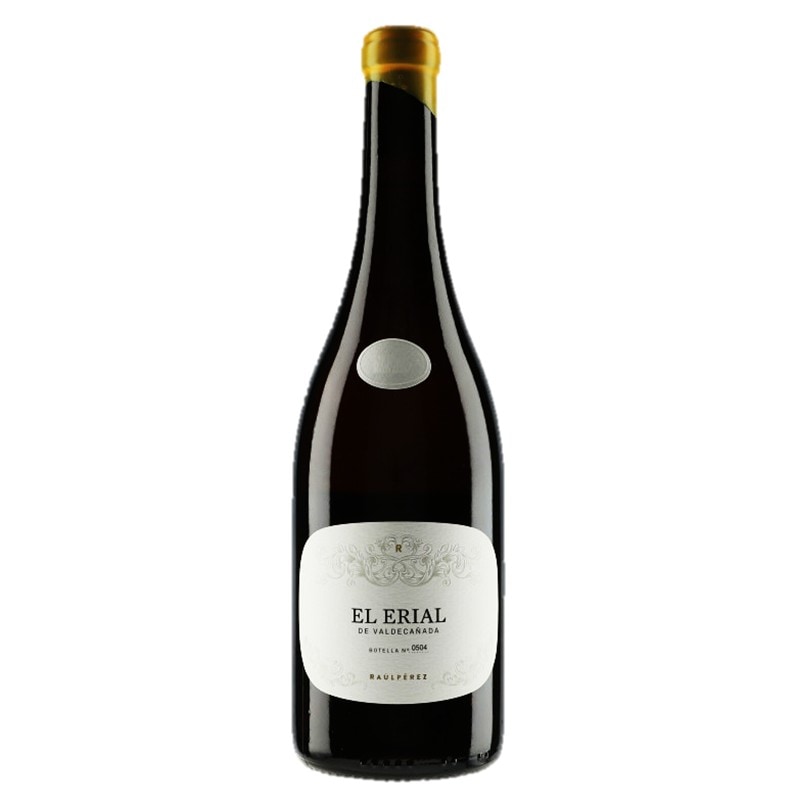 Raul Perez ラウル ペレス Sketch スケッチ 2021楽天市場】スケッチ