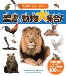 レフトビハインド シリーズ 2 トリビュレーション・フォース （17901