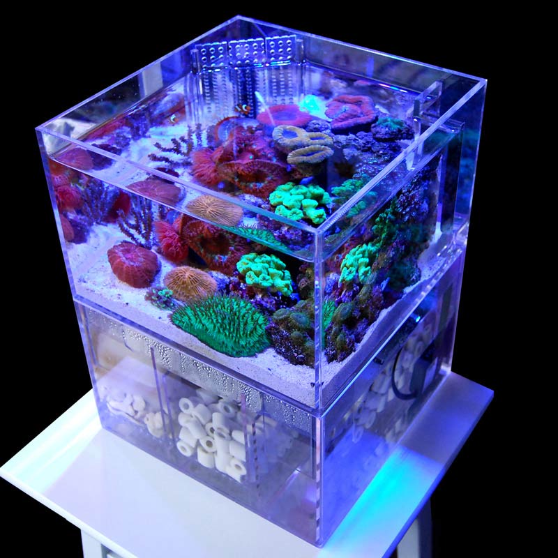 アクリル水槽 450 450 450 発送可能 キューブ水槽 海水魚 クラゲ 1