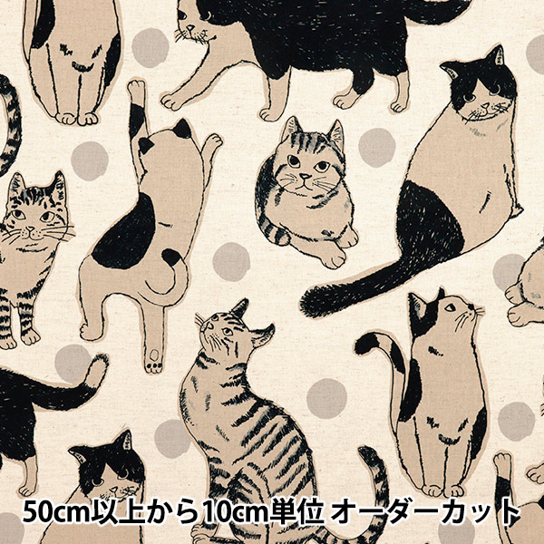 油絵 専用 てんとう虫を見ている猫 キュービックピュアコットン