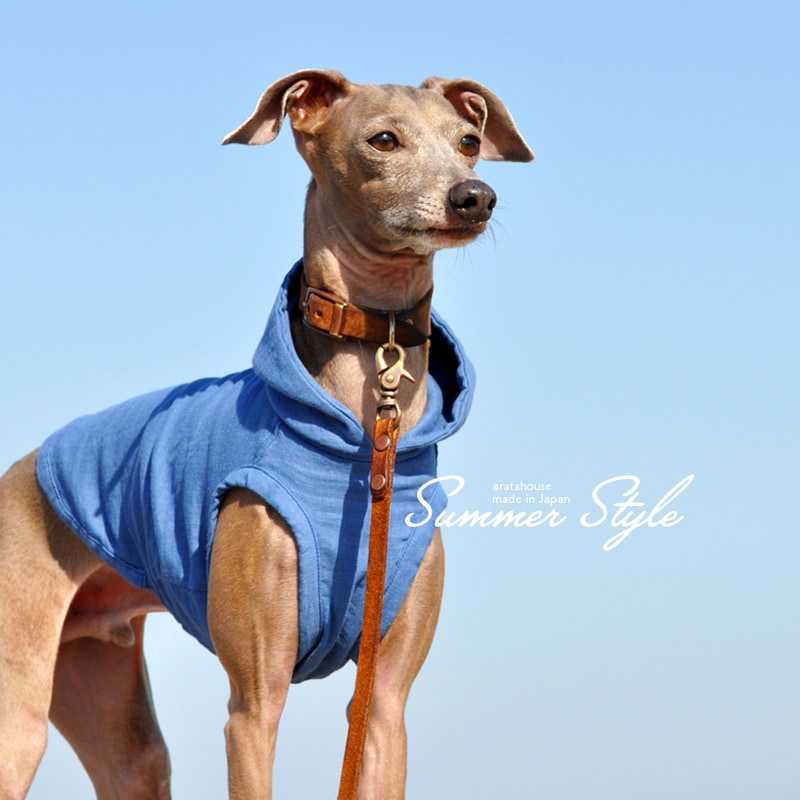 犬服 SS わんこの普段着フルーツカシェモアベージュ