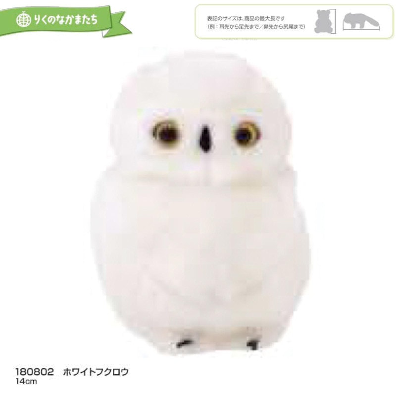 りくのなかまたち」ホワイトフクロウ ぬいぐるみ（24個入