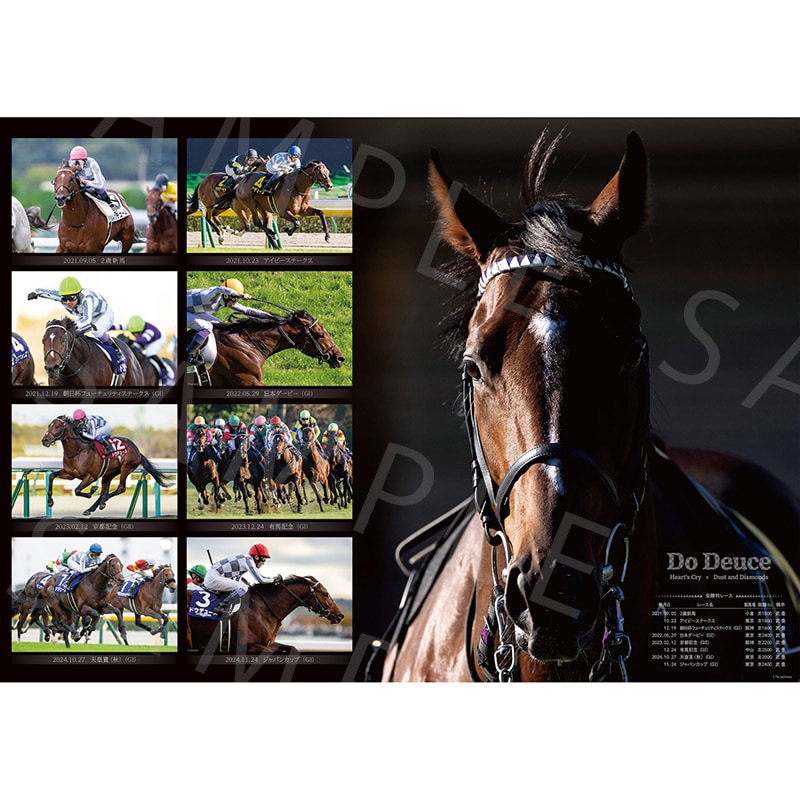 競馬ドウデュース武豊J 特大ポスターB1サイズ728mm×1030mm 非売品 競馬