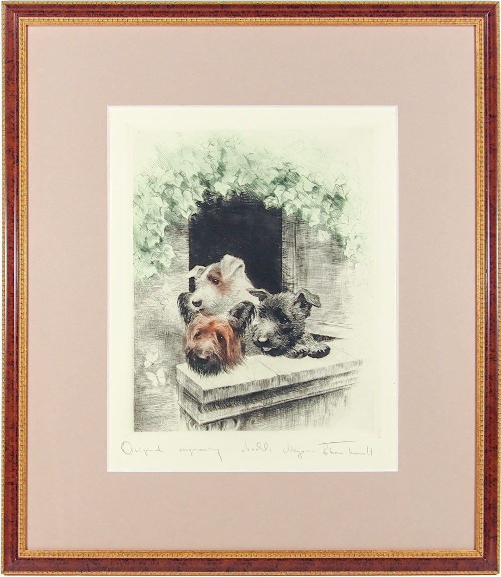ヴィンテージ銅版画 Meyer Eberhardt 「3匹のテリア犬」 ヴィンテージ