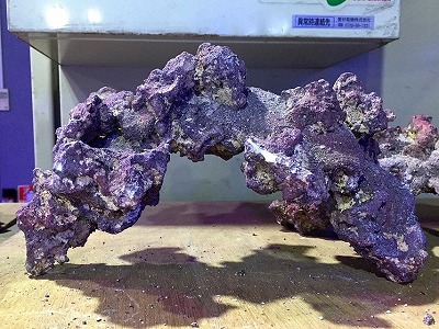 ライフロック アーチ | すべての商品 | エキゾチックアフリカ通販ショップ