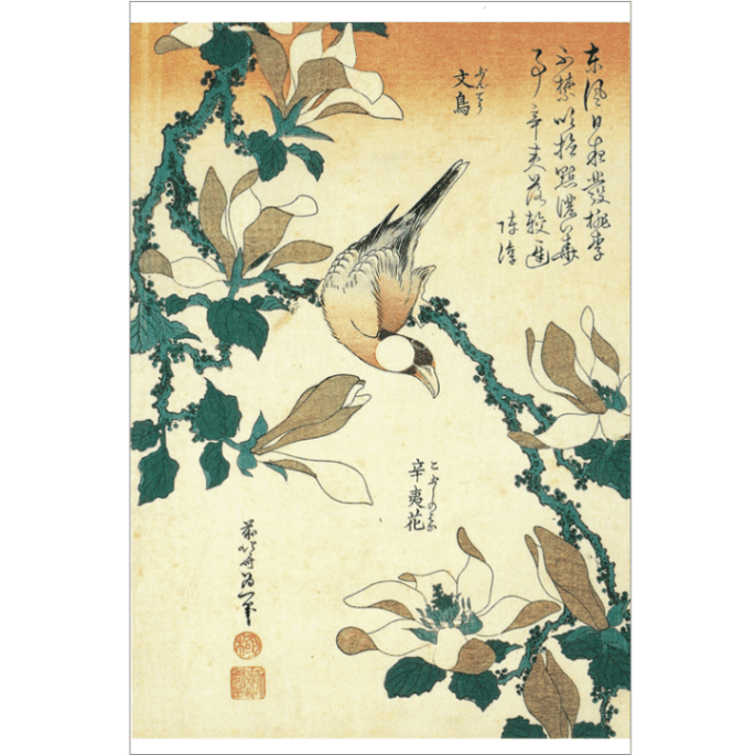 絵はがき〈文鳥 辛夷花〉葛飾北斎 TB-023京都便利堂オンラインショップ