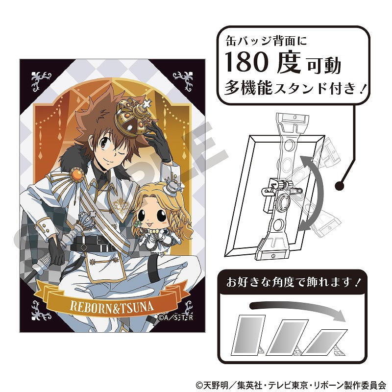 沢田綱吉 スクエア缶マグネット 10点 REBORN! スクエア缶バッジ 沢田