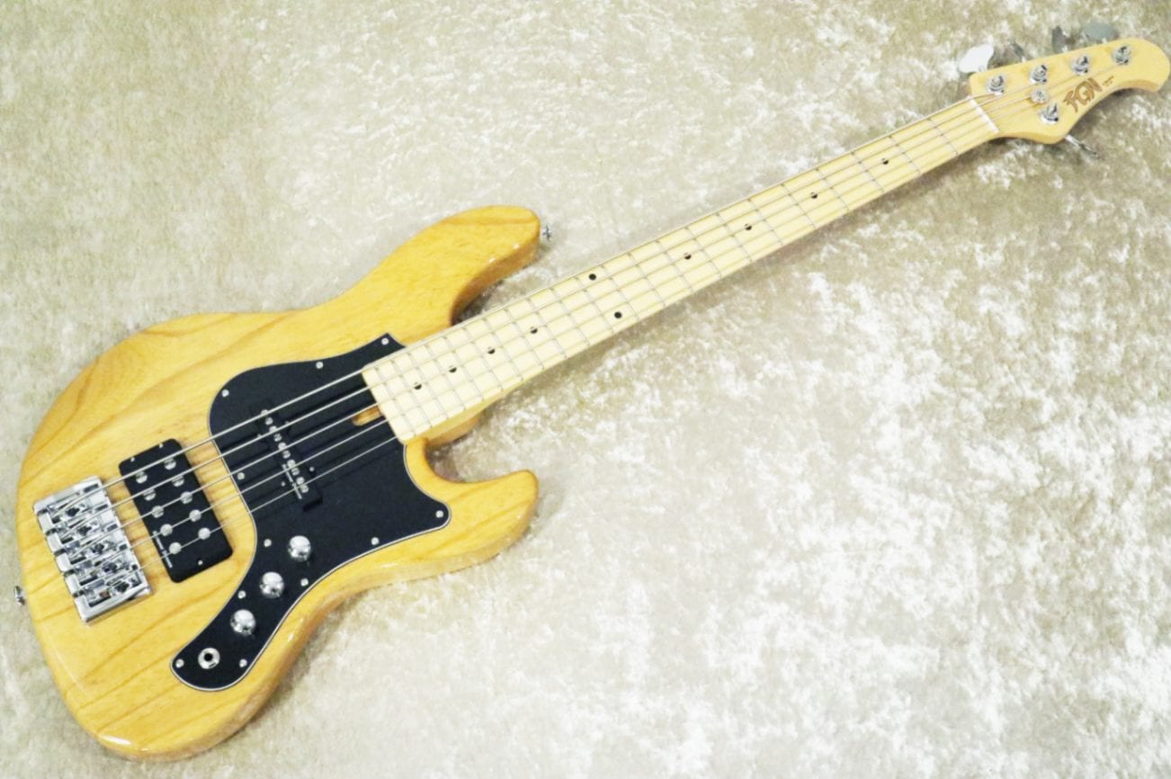FUJIGEN J-Standard JMJ5 5弦ベース 手渡し限定 FUJIGEN J-Standard