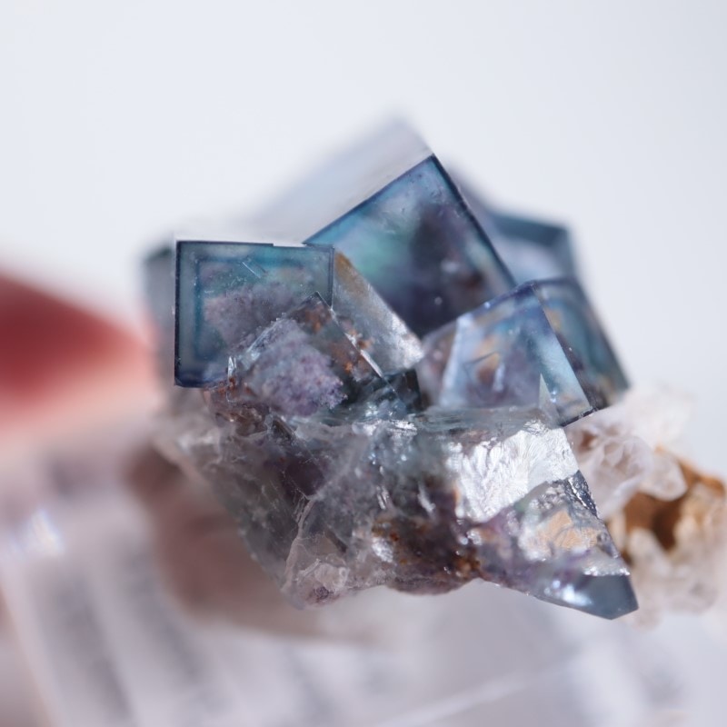 オコルス monday12oclock フローライト 鉱物標本 蛍石