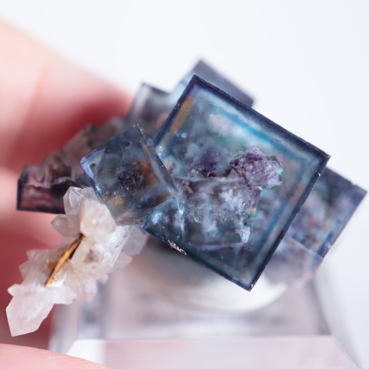 オコルス鉱山 フローライト | 鉱物標本,ハ行,フローライト/蛍石