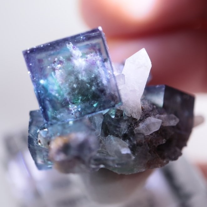 ナミビア オコルス フローライト