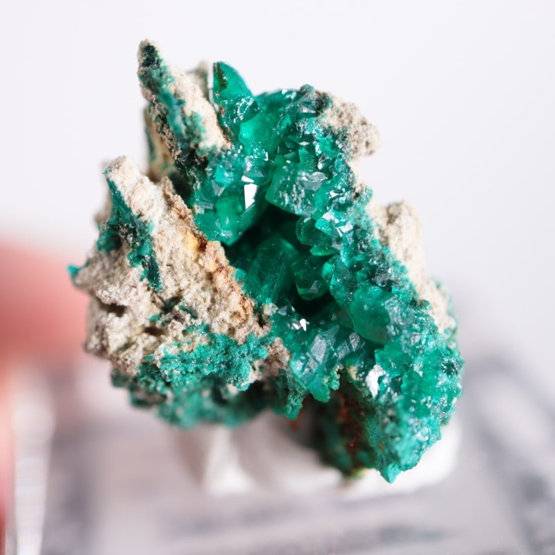 コンゴ産 ダイオプテーズ | 鉱物標本,タ行,ダイオプテーズ/翠銅鉱