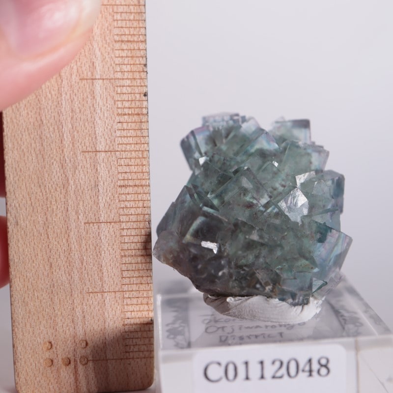 オコルス鉱山 フローライト | 鉱物標本,ハ行,フローライト/蛍石