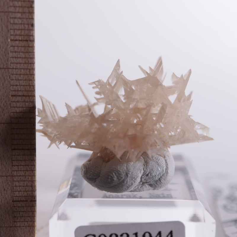 イラン産 セルサイト（白鉛鉱） | 鉱物標本,サ行,セルサイト/白鉛鉱