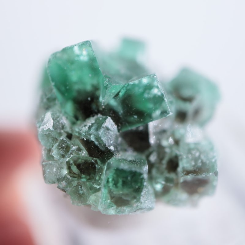 Diana Maria鉱山 フローライト | 鉱物標本,ハ行,フローライト/蛍石