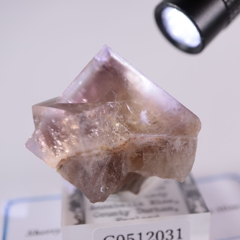 Sherry Twins Pocket フローライト | 鉱物標本,ハ行,フローライト/蛍石