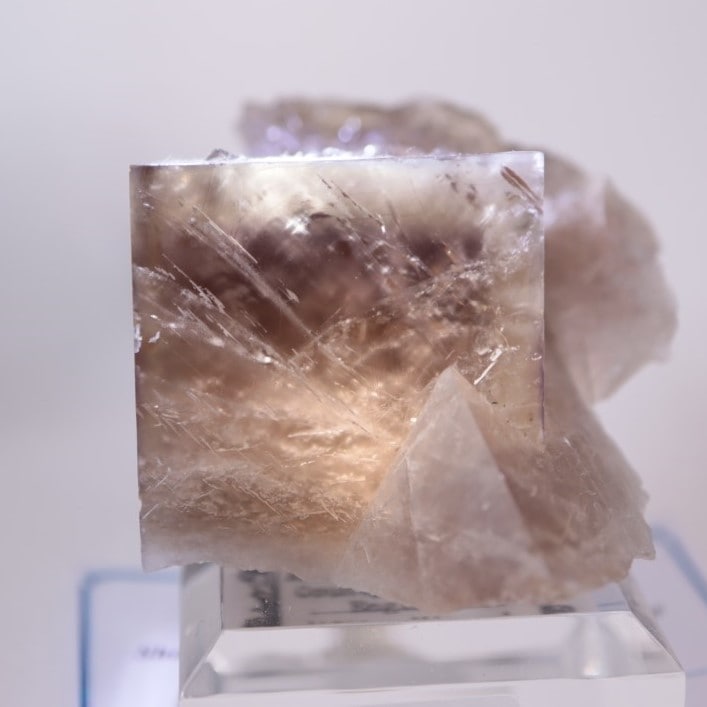 412 イギリス シェリーツインズ フローライト Sherry Twins Pocket