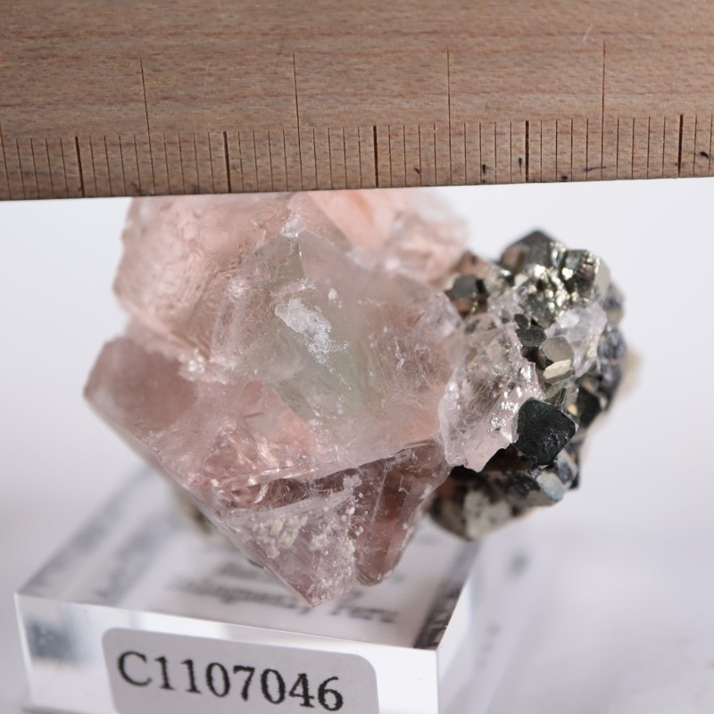 ペルー産 フローライト | 鉱物標本,ハ行,フローライト/蛍石 | ほたるみ