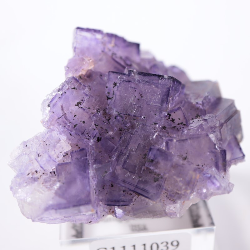 イリノイ州 フローライト | 鉱物標本,ハ行,フローライト/蛍石,フロー