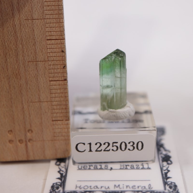 ブラジル産 トルマリン | 鉱物標本,タ行,トルマリン/電気石 | ほたるみ