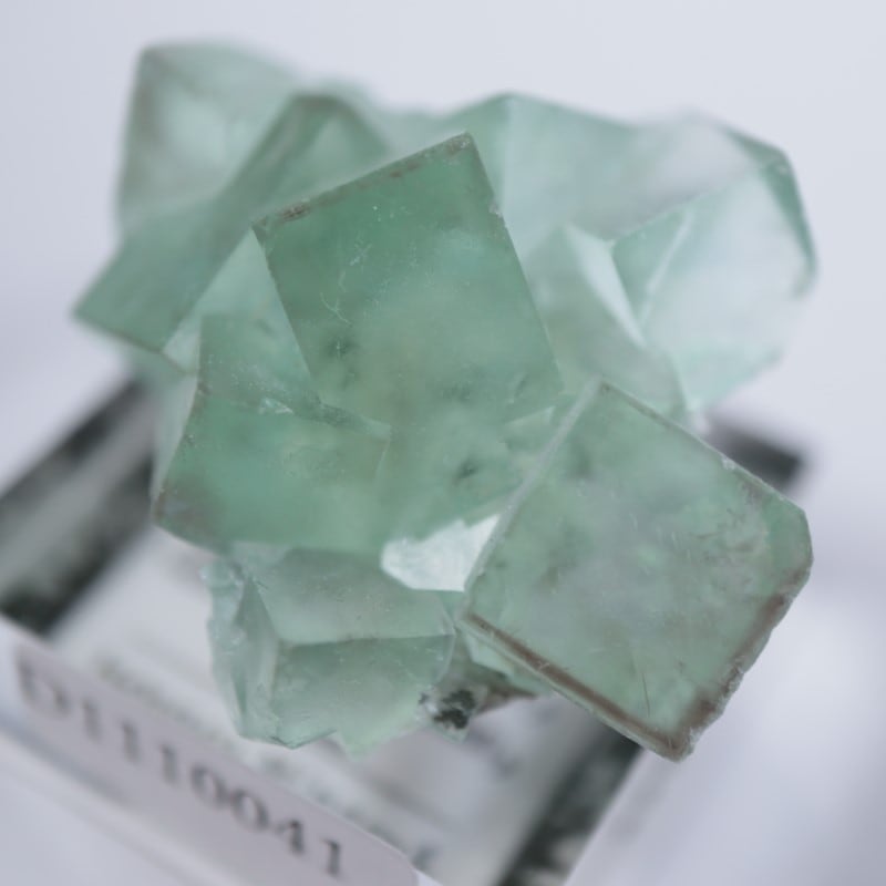 国産鉱物 三重県産 蛍石