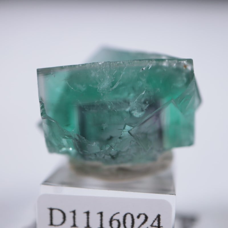 レディアナベラ鉱山 フローライト | 鉱物標本,ハ行,フローライト/蛍石