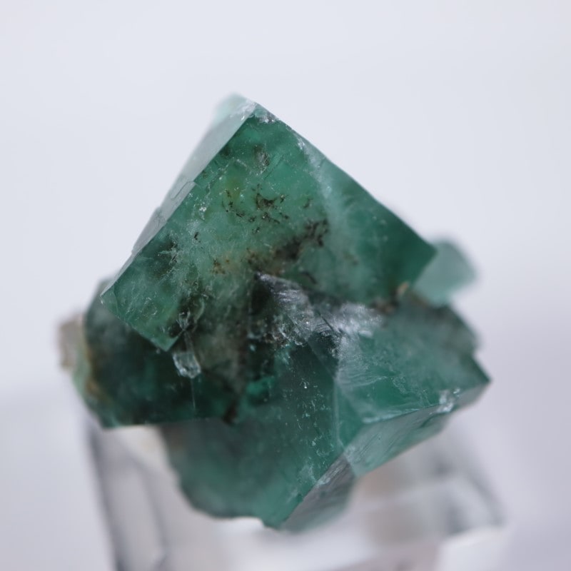 136 UK ロジャリー鉱山 50-Year Pocket フローライト 【公式通販】