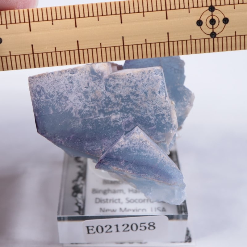 ニューメキシコ州 フローライト | 鉱物標本,ハ行,フローライト/蛍石