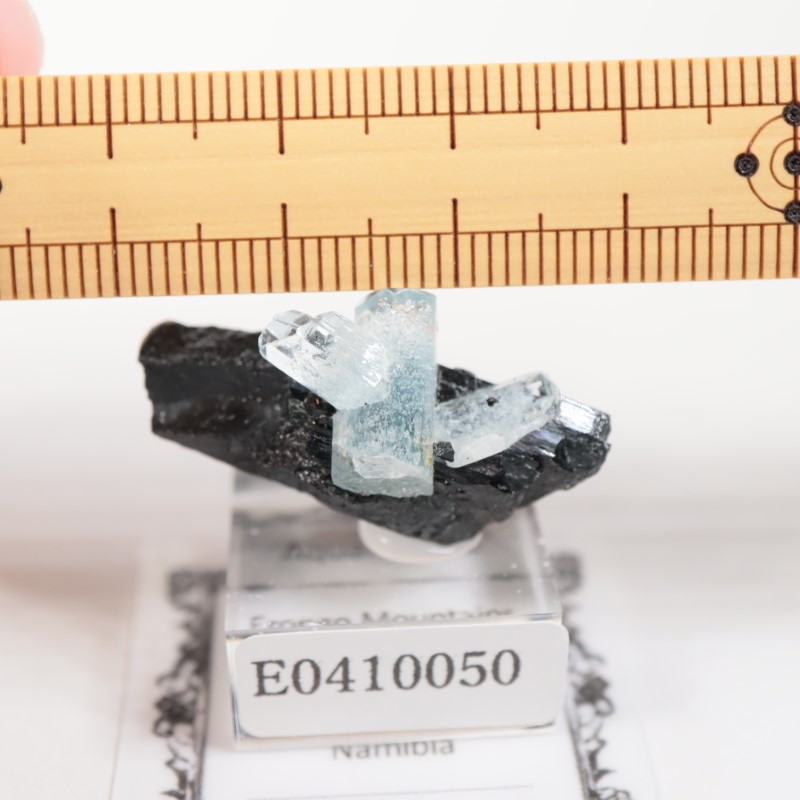 エロンゴ鉱山 アクアマリンonショール | 鉱物標本,ハ行,ベリル/緑柱石