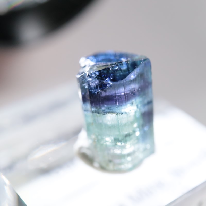 Santa Rosa鉱山 ブルーキャップトルマリン | 鉱物標本,タ行,トルマリン