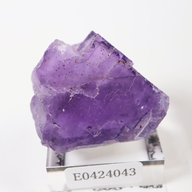 アメリカ イリノイ産 フローライト 蛍石 鉱物標本 原石