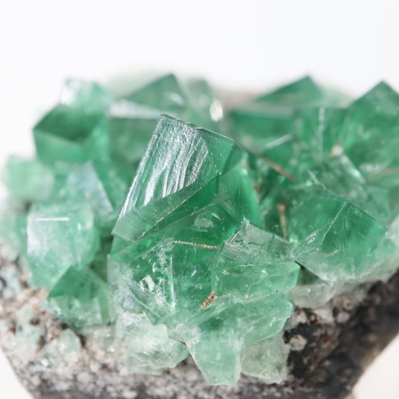 Greedy Hog Pocket フローライト | 鉱物標本,ハ行,フローライト/蛍石