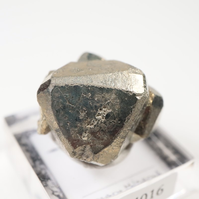 ペルー産 パイライト | 鉱物標本,ハ行,パイライト/黄鉄鉱 | ほたるみ