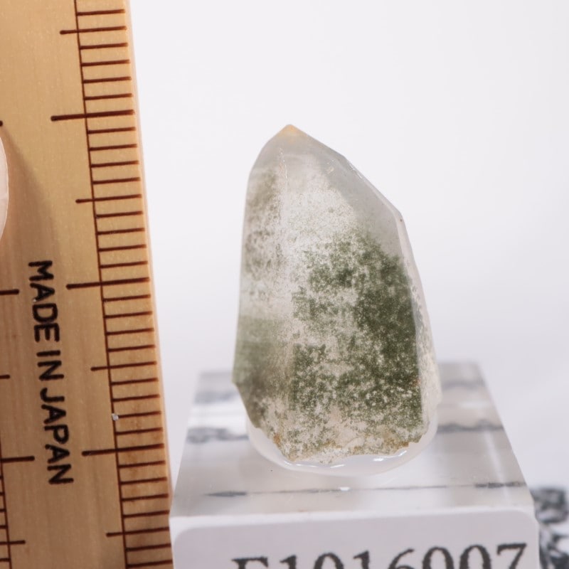 バッタリ鉱山 水晶 | 鉱物標本,カ行,クォーツ/水晶 | ほたるみねらる