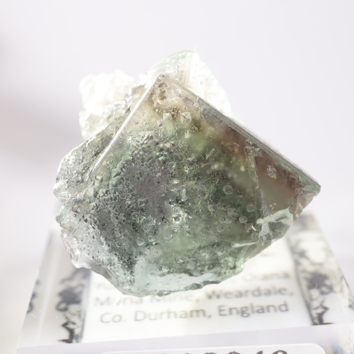 Yum Yum Pocket フローライト | 鉱物標本,ハ行,フローライト/蛍石