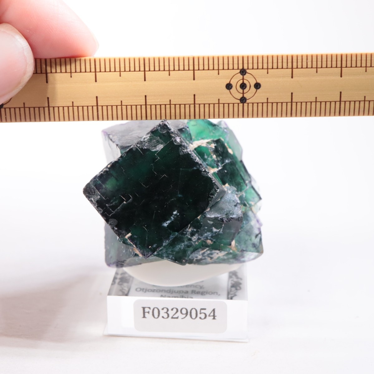 オコルス鉱山産 フローライト | 鉱物標本,ハ行,フローライト/蛍石