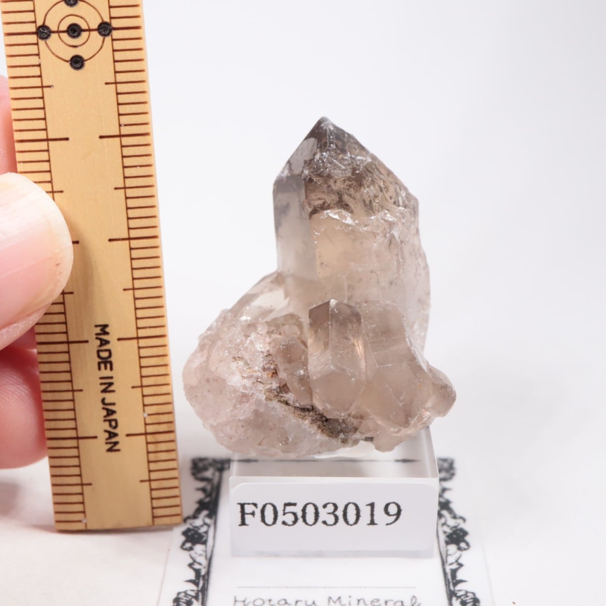 ブラジル産 スモーキークォーツ | 鉱物標本,カ行,クォーツ/水晶