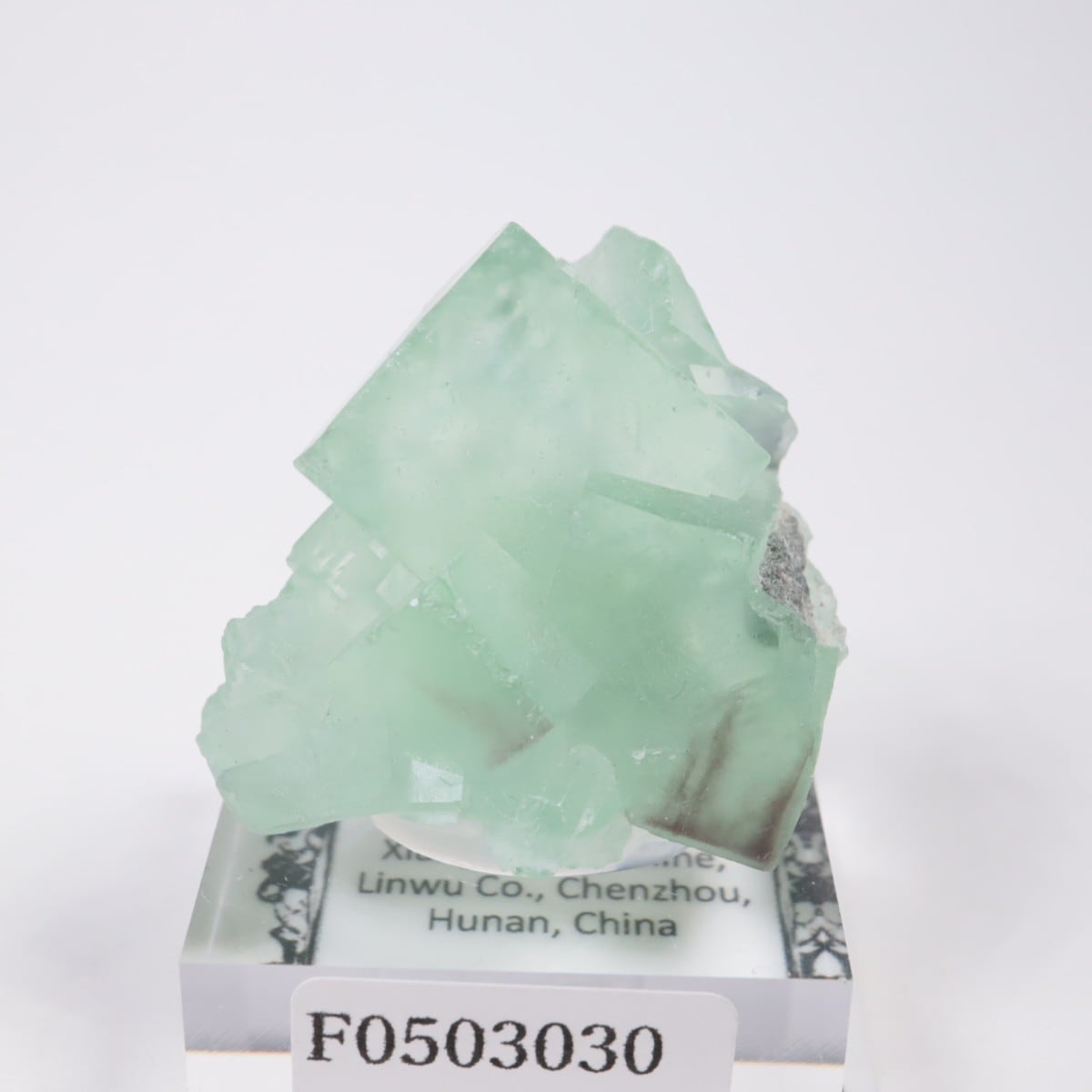 シャンファーリン産 フローライト | 鉱物標本,ハ行,フローライト/蛍石