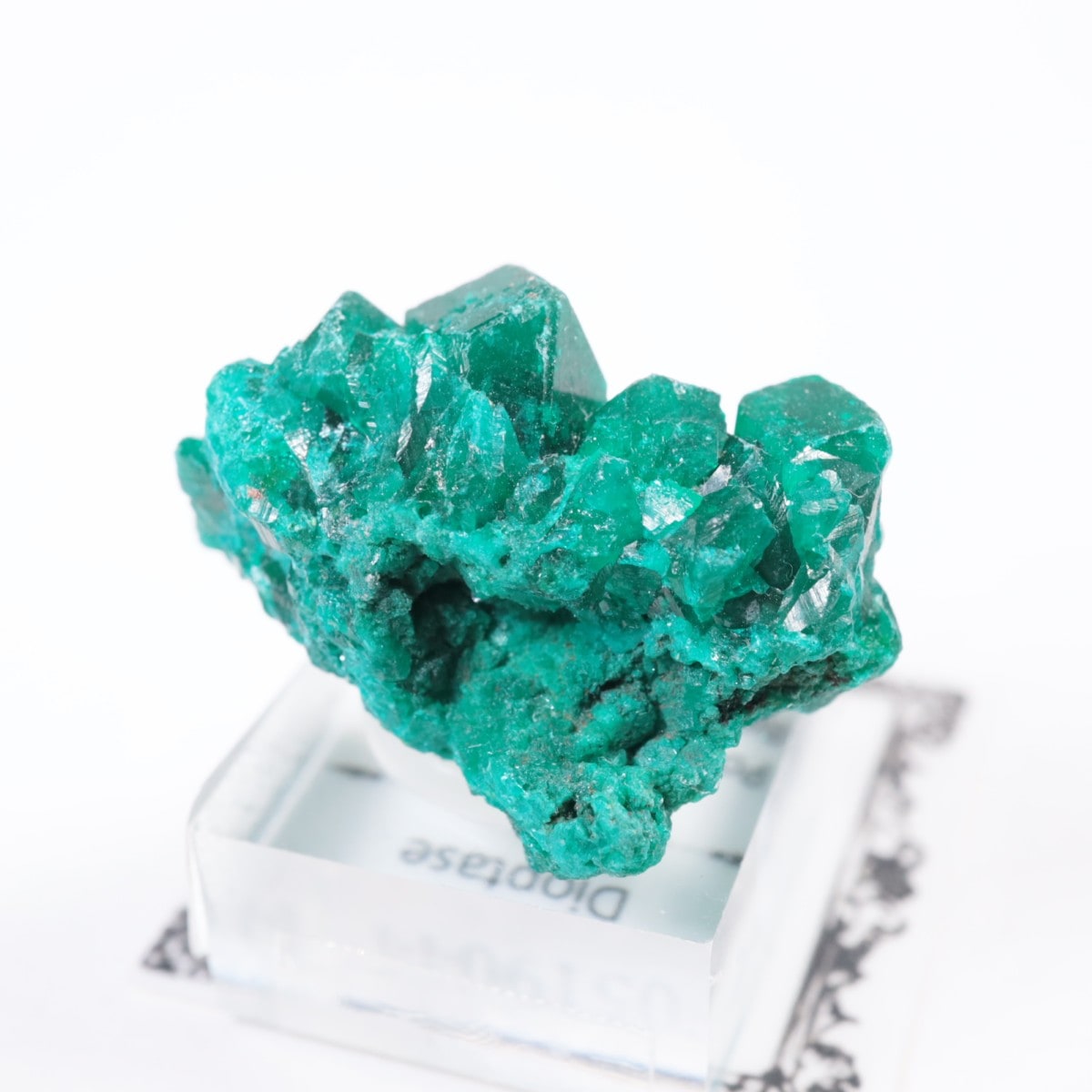 コンゴ産 ダイオプテーズ | 鉱物標本,タ行,ダイオプテーズ/翠銅鉱