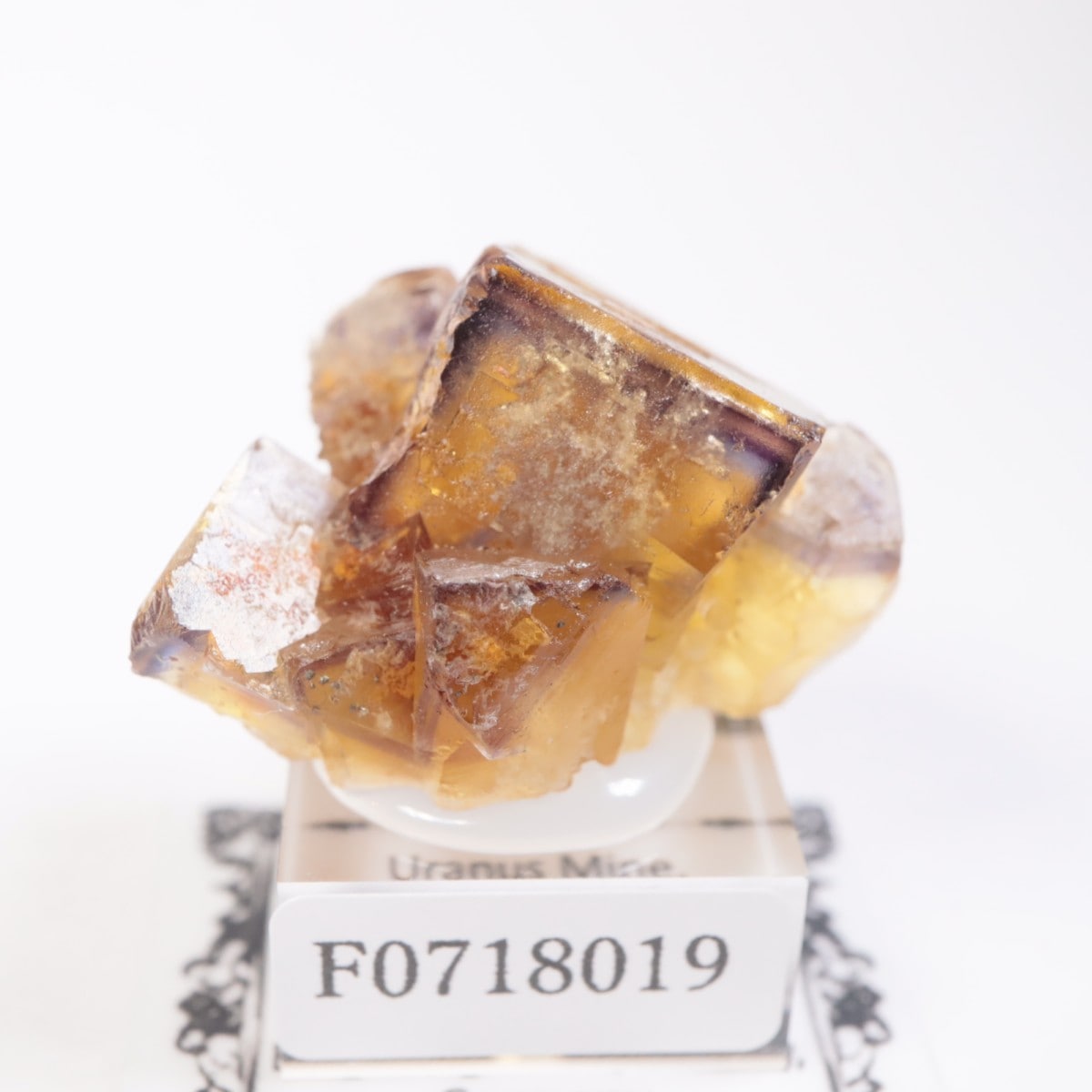 ドイツ産 フローライト | 鉱物標本,ハ行,フローライト/蛍石 | ほたるみ