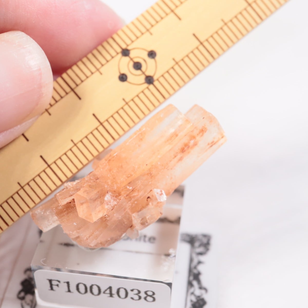 モロッコ産 アラゴナイト | 鉱物標本,ア行,アラゴナイト/霰石 | ほたる