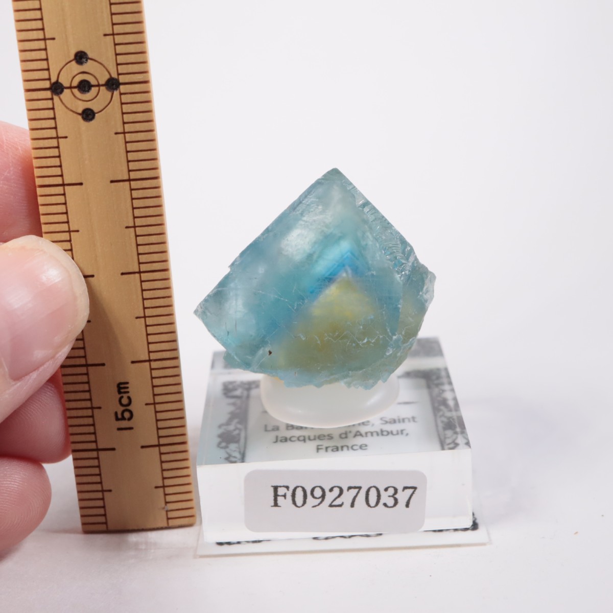 La Barre鉱山産 フローライト | 鉱物標本,ハ行,フローライト/蛍石