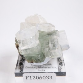 モゴック産 マッシュルームトルマリン | 鉱物標本,タ行,トルマリン