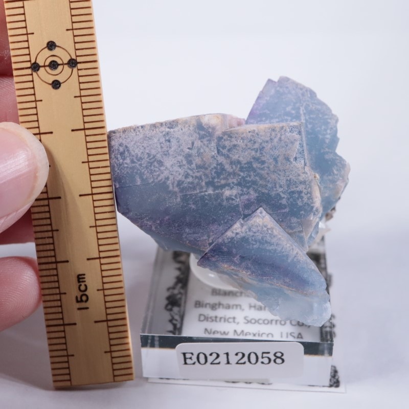 ニューメキシコ州 フローライト | 鉱物標本,ハ行,フローライト/蛍石