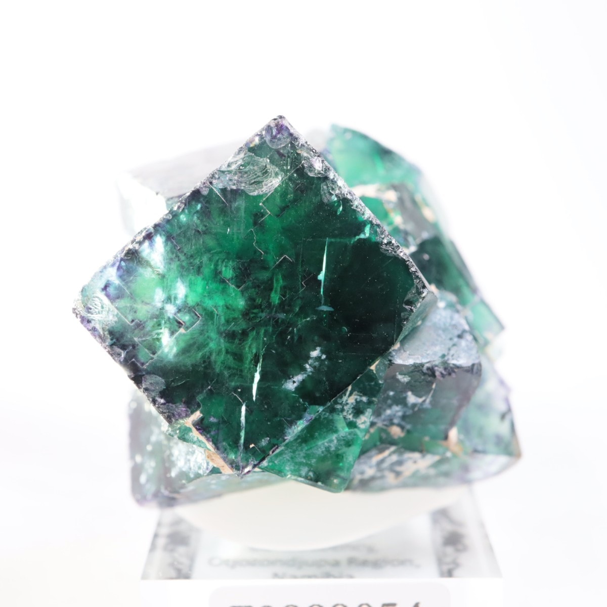 オコルス鉱山産 フローライト | 鉱物標本,ハ行,フローライト/蛍石