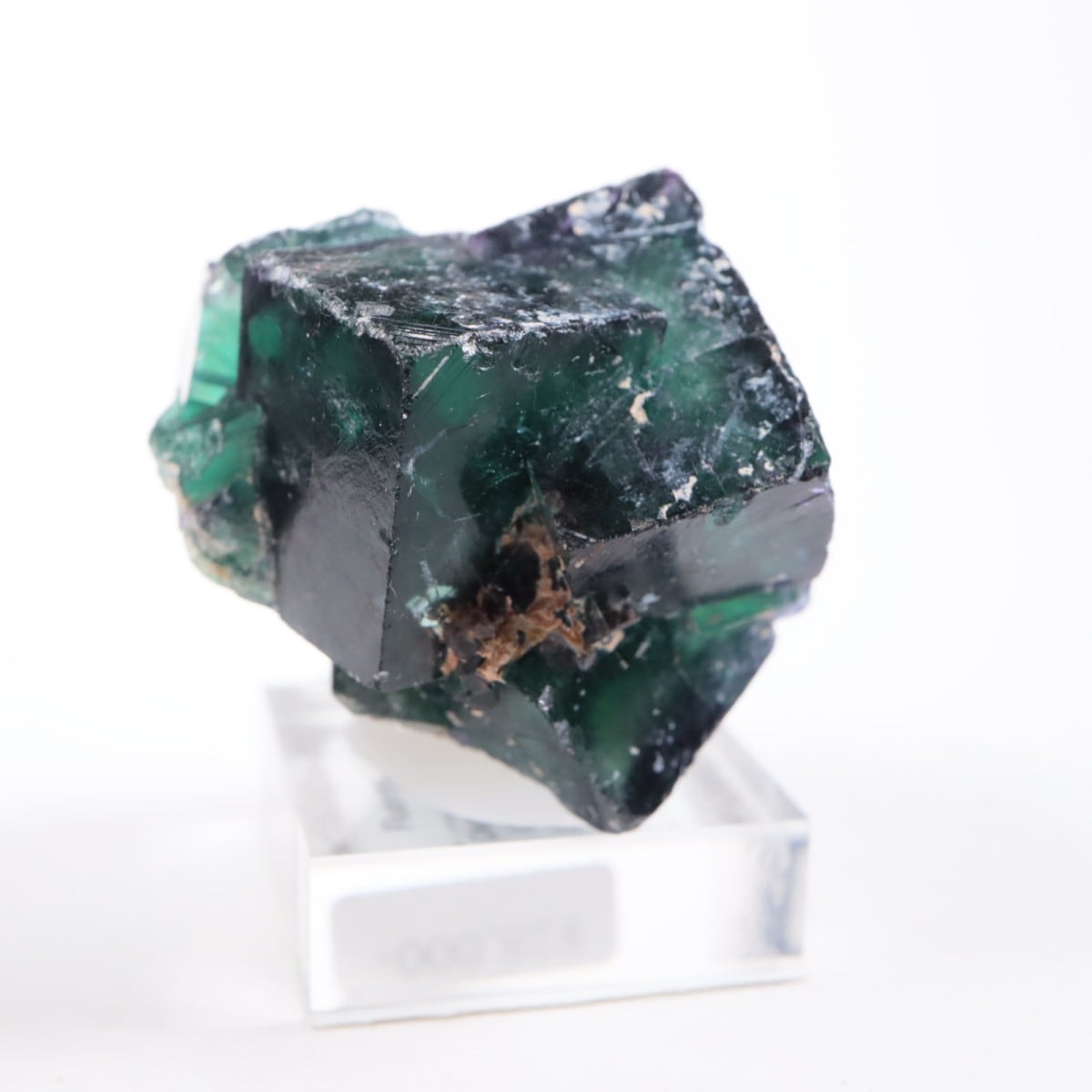 8_000000009563.jpg?1743241710