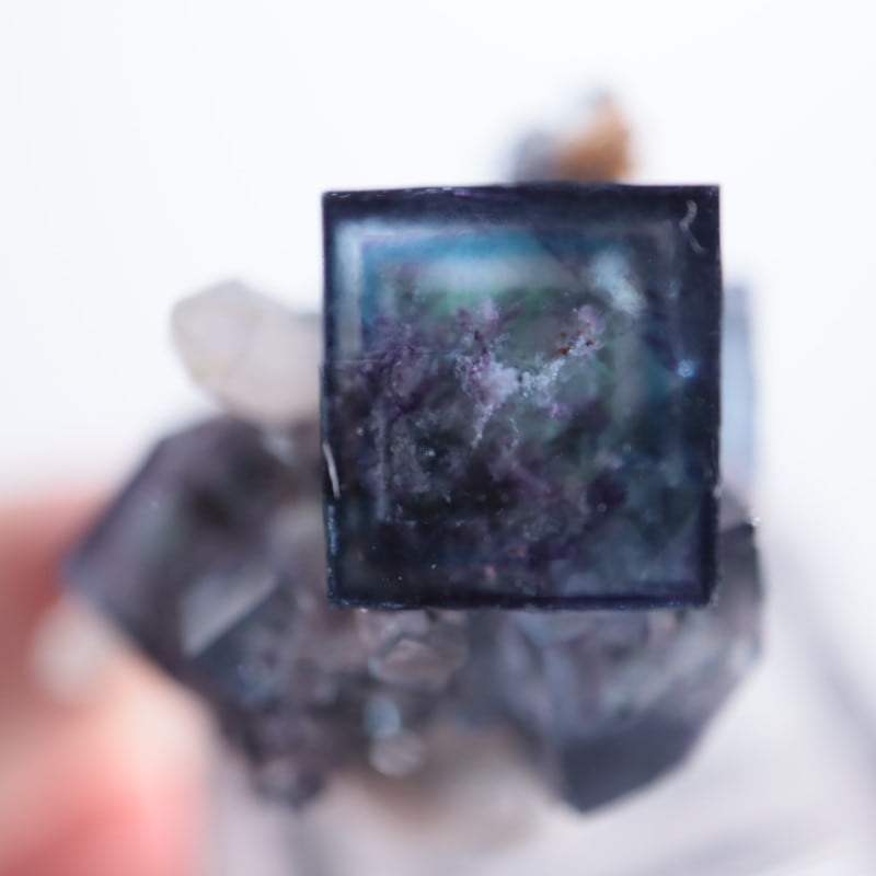 オコルス鉱山産 フローライト | 鉱物標本,ハ行,フローライト/蛍石